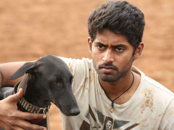 Pariyerum perumal movie review Pariyerum perumal movie review