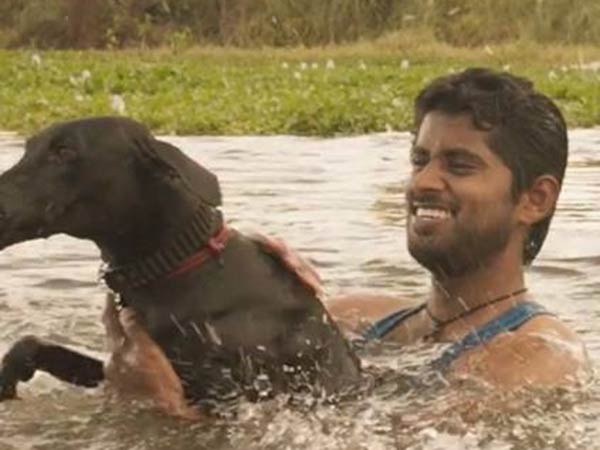 ஜோவின் அப்பா