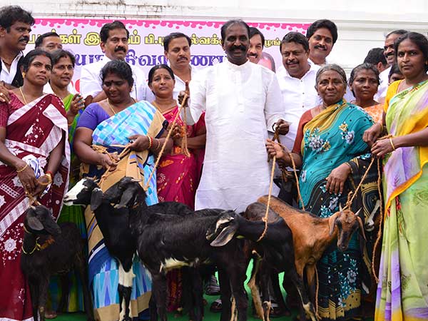 Vairamuthu requests center allot huge fund for cyclone Gaja afftected people Vairamuthu requests center allot huge fund for cyclone Gaja afftected people
