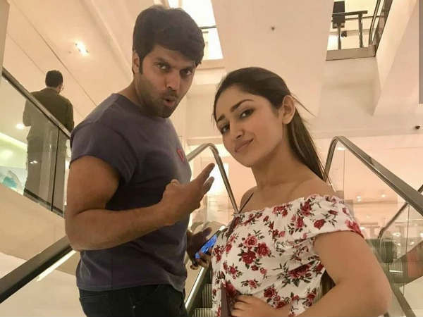 Arya, Sayyeshaa to have two day gala wedding Arya, Sayyeshaa to have two day gala wedding
