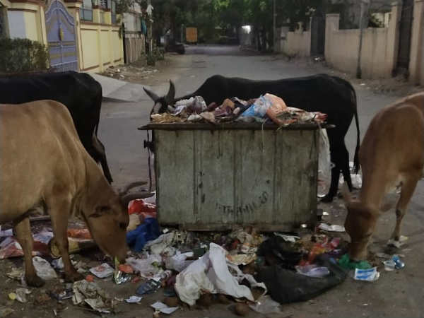 நடுரோட்டில் குப்பைத்தொட்டி: