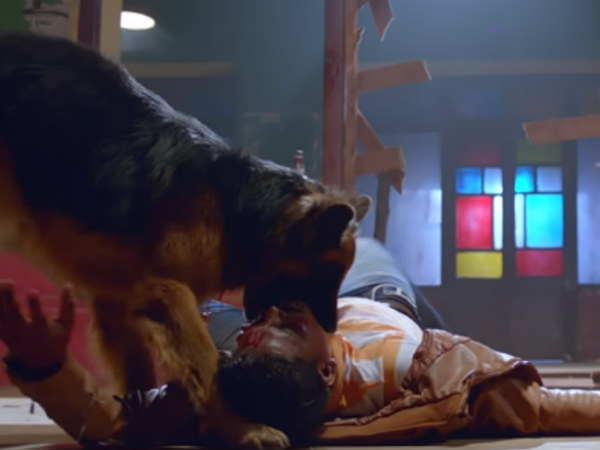 Rocky review: Its a police dog story Rocky review: Its a police dog story