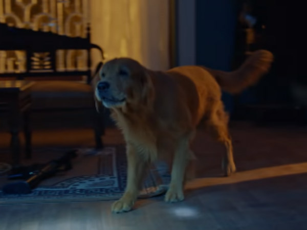 Watchman review: A super thriller movie with G.Vs extraordinary background score Watchman review: A super thriller movie with G.Vs extraordinary background score
