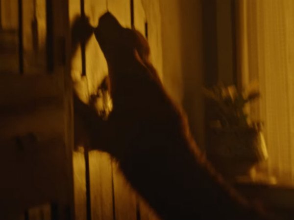 Watchman review: A super thriller movie with G.Vs extraordinary background score Watchman review: A super thriller movie with G.Vs extraordinary background score