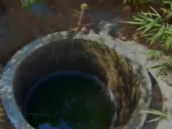 சாகடித்து விடுகின்றனர்