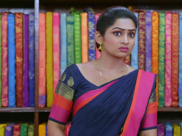 வீட்டில் பாக்கியலட்சுமி
