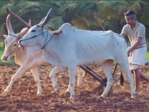 பெரும் வரவேற்பு