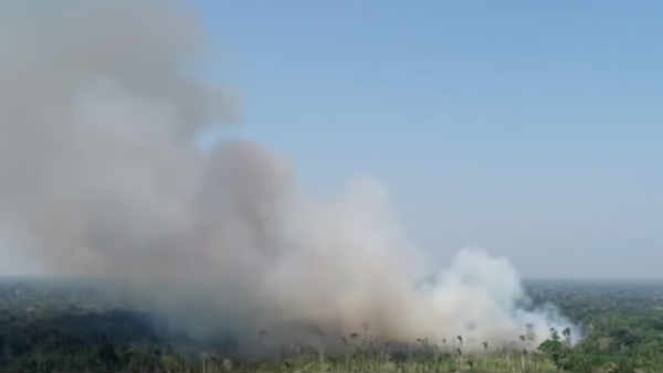 பிரபலங்கள் வேதனை