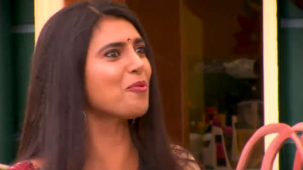 ஈக்கள் தொல்லை