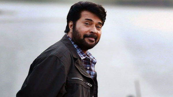 நடிகர் மம்முட்டி