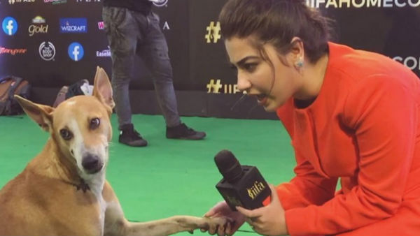 Actress takes interview with a dog; video goes viral Actress takes interview with a dog; video goes viral