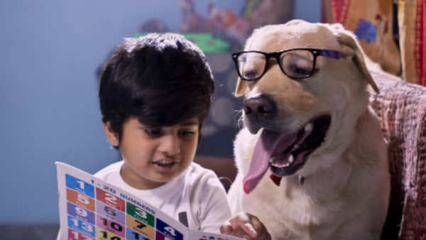Bow Bow is an emotional bond between a 5 year old boy with dog Bow Bow is an emotional bond between a 5 year old boy with dog