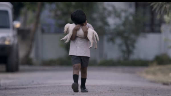 Bow Bow is an emotional bond between a 5 year old boy with dog Bow Bow is an emotional bond between a 5 year old boy with dog