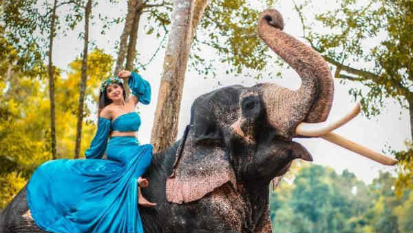 யானை மீது அமர்ந்து