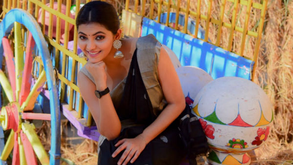 pongal celebrations in celebrities home pongal celebrations in celebrities home