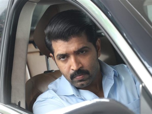 குதிரைகள்