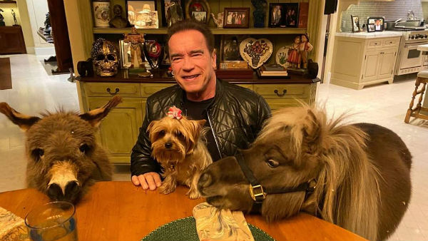 Animal lover Arnold Animal lover Arnold