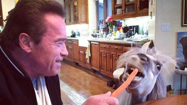 Animal lover Arnold Animal lover Arnold