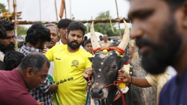 Attakathi Dinesh and Vikram sugumaran next film Therum porum Attakathi Dinesh and Vikram sugumaran next film Therum porum