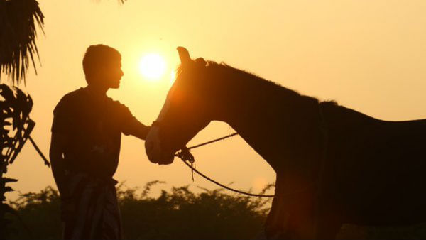 தனுஷின் தோற்றம்
