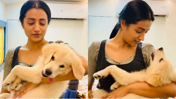 In shooting spot trisha playing with a pet In shooting spot trisha playing with a pet