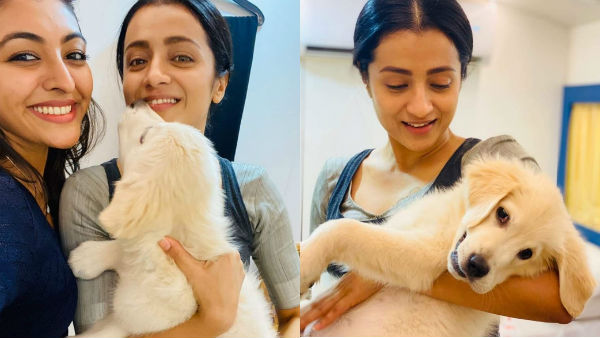 In shooting spot trisha playing with a pet In shooting spot trisha playing with a pet
