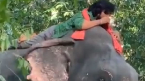 கும்கியை தொடர்ந்து