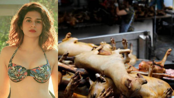 Actress Shraddha Das scolding Chinese for eat bats and meats again! Actress Shraddha Das scolding Chinese for eat bats and meats again!