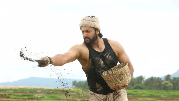 விவசாயம் எப்படி?