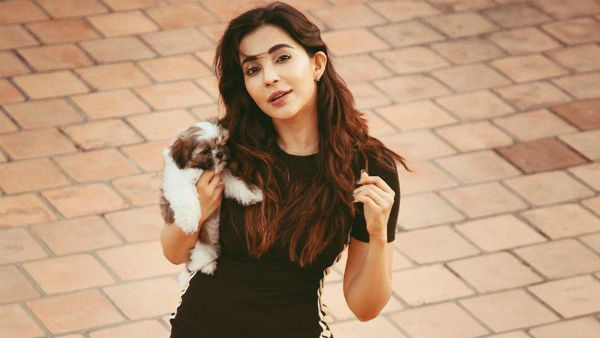 Actress Parvathi Nair shared a photo of the dog kissing Actress Parvathi Nair shared a photo of the dog kissing