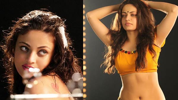 Actress Sneha Ullal relation met with an online fraud Actress Sneha Ullal relation met with an online fraud