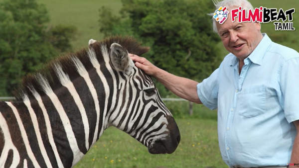 94 Not out: David Attenborough special! 94 Not out: David Attenborough special!