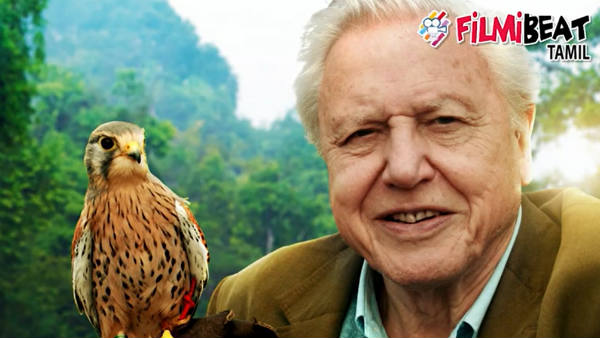 94 Not out: David Attenborough special! 94 Not out: David Attenborough special!