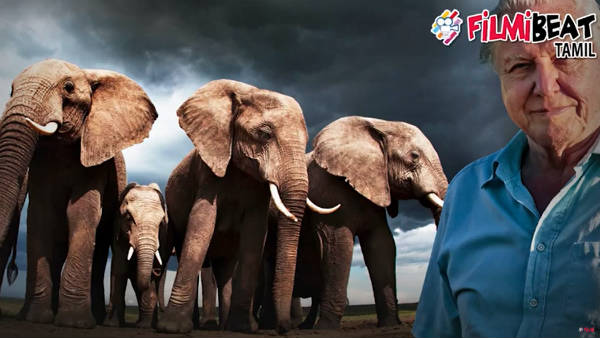 94 Not out: David Attenborough special! 94 Not out: David Attenborough special!