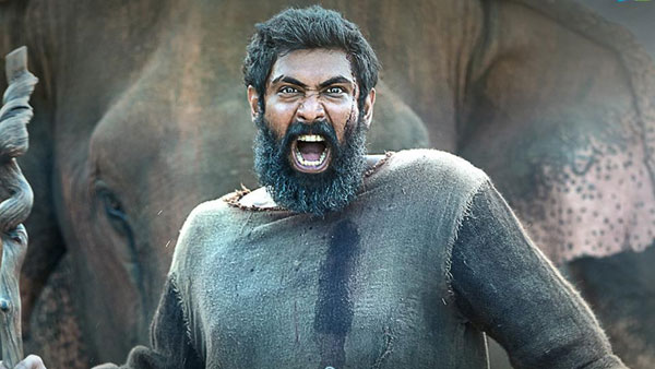 காட்டுக்கு காவலன்