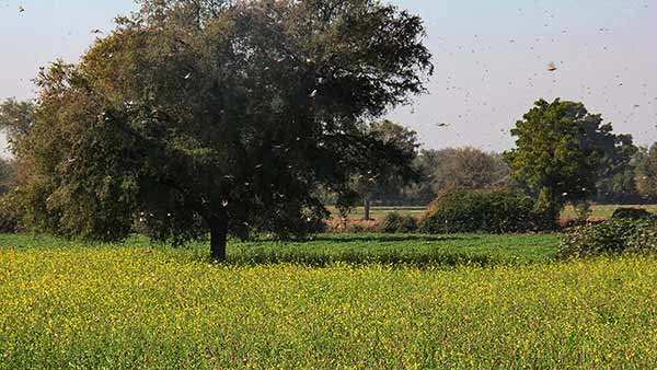 இதுவும் கடந்து போகும்