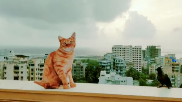 தூண்டுவதற்கு