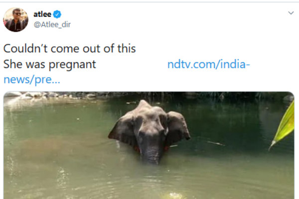 அட்லி கண்டனம்