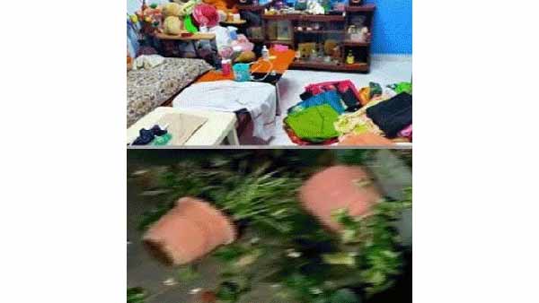 நடிகையின் அம்மா