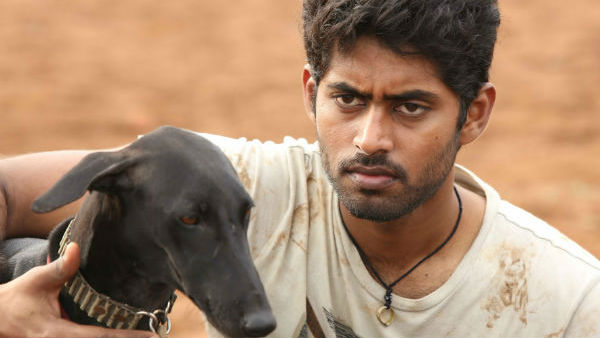 விஜய்க்கு நண்பனாக