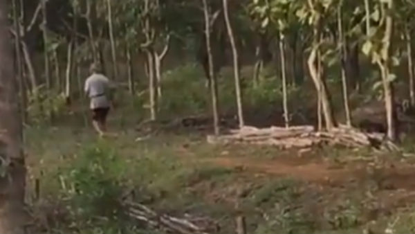 தோட்டத்தில் வாக்கிங்