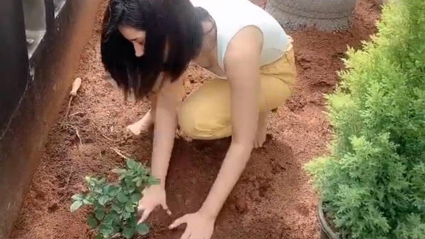 கிரீன் இந்தியா சேலஞ்ச்
