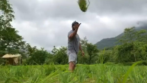 முழு நேர விவசாயி