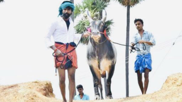 கருப்பன் நடந்து போனா