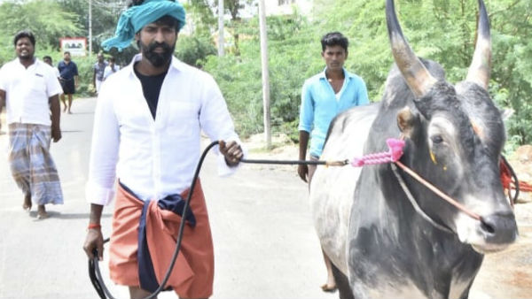 காளையை குளிக்க வைத்து..