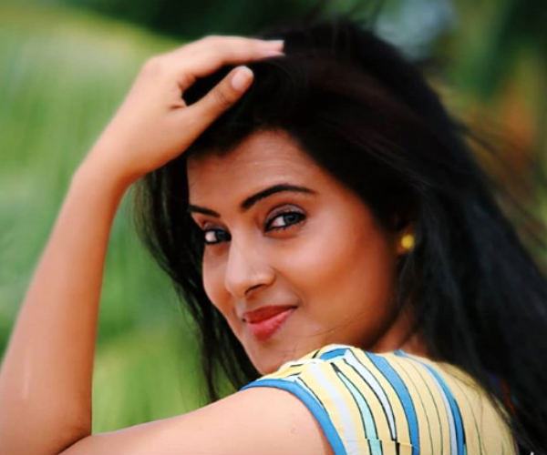 சன், விஜய், ஜீ தமிழ்