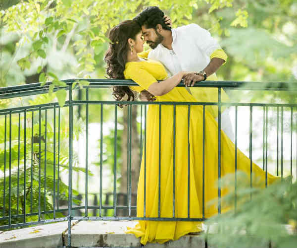 மஞ்சள் புறா