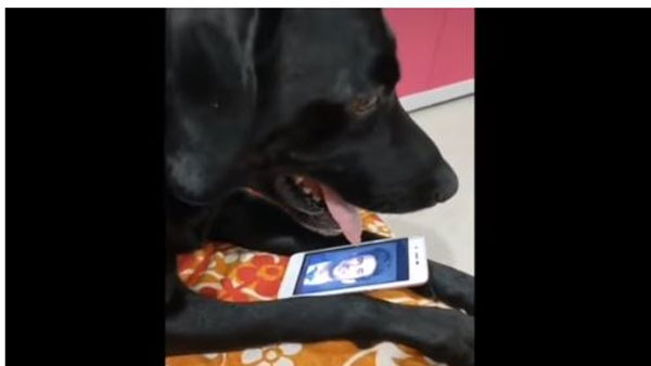 வெறித்துப் பார்த்து
