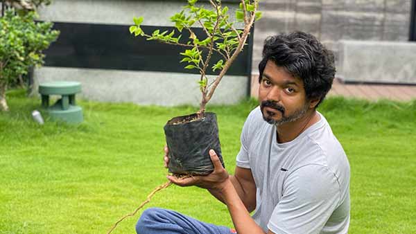 பிரபலங்கள் பாராட்டு