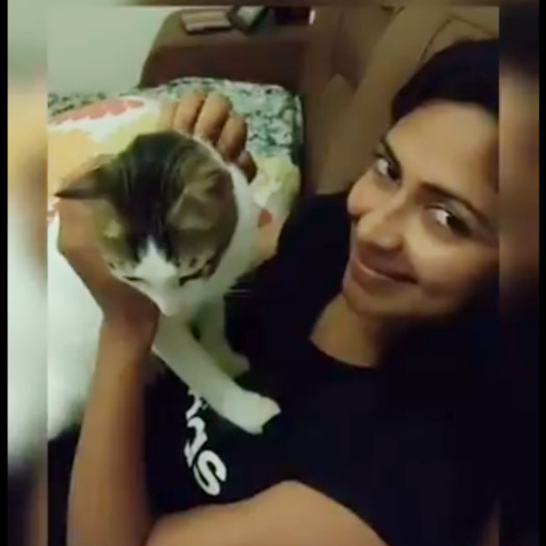 இரவில் மசாஜ்